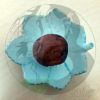 Umeboshi, ganze Frucht